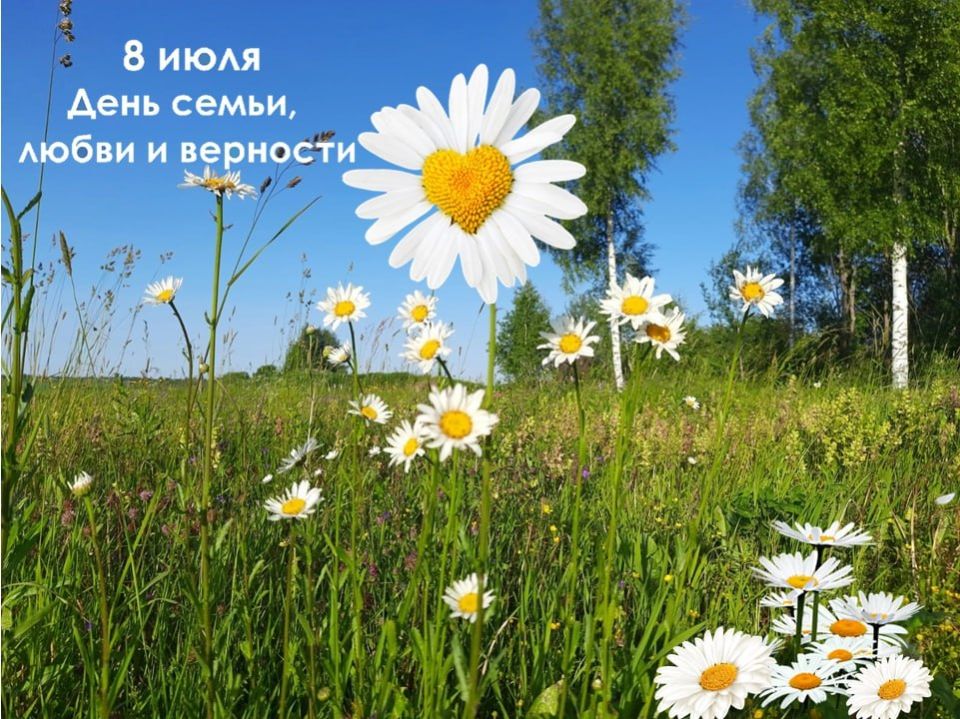  !.        ,   !  ,    ,           ,   ...