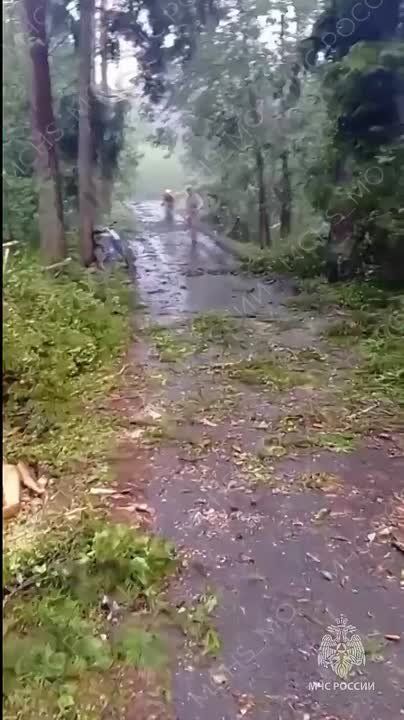            ,    
