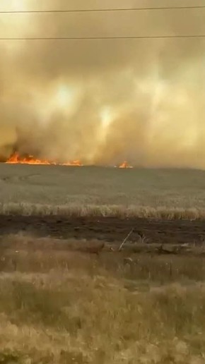 Пшеничное поле загорелось в Ейском районе Краснодарского края