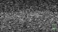        (!)  113-     ..   