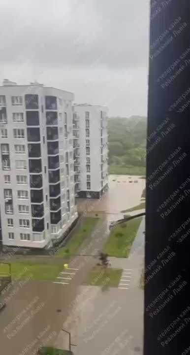    -  ,     