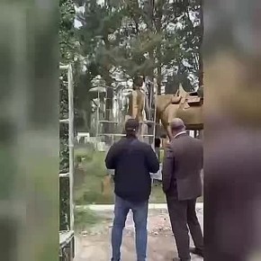          --