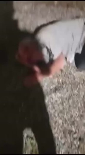    :          