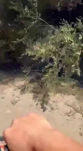    -       ,    