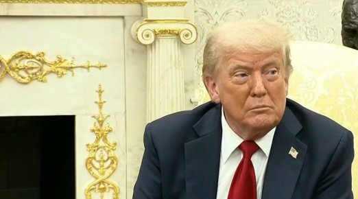           50     &quot; &quot;  100%      
