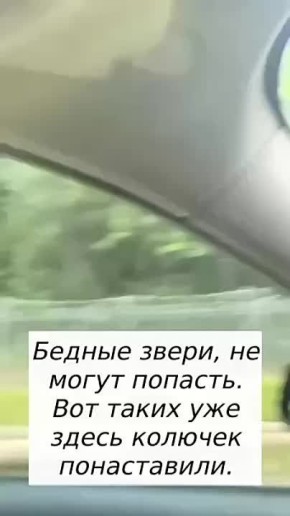&quot;     ,   