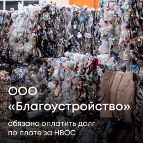 Арбитражный суд Республики Марий Эл поддержал требования Росприроднадзора о взыскании с ООО «Благоустройство» задолженности по плате за негативное воздействие на окружающую среду