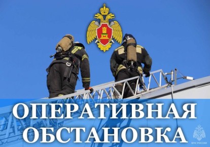 За минувшие сутки в Тверской области: