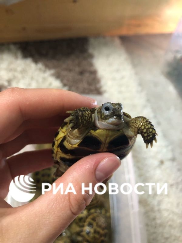          ,       ,     