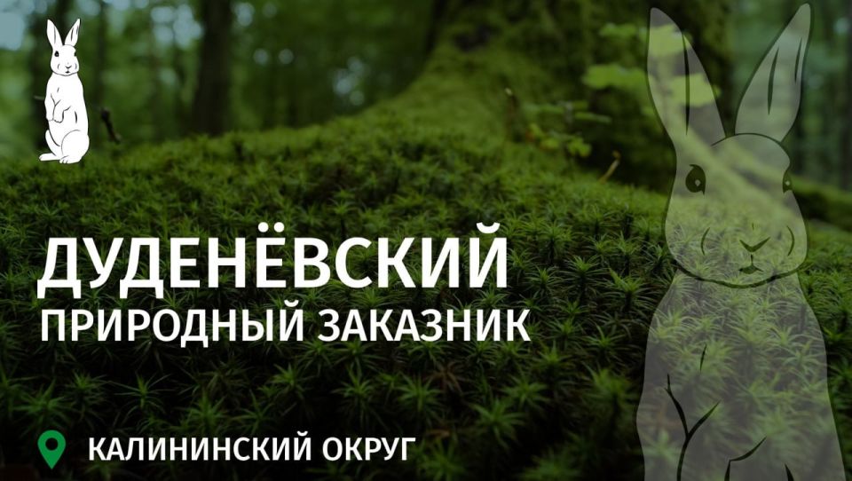  :         
