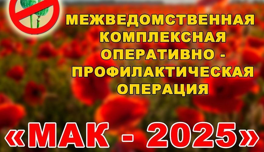     -  -2025,           ,    ...