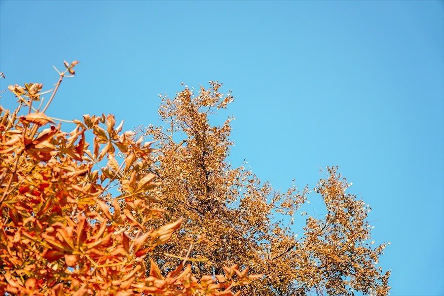  1        :  