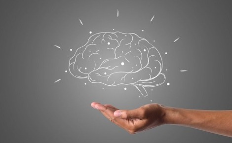 Ешьте это каждый день, чтобы стать умнее: секрет высокого IQ раскрыт