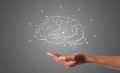 Ешьте это каждый день, чтобы стать умнее: секрет высокого IQ раскрыт