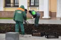Весенние краски закладывают осенью: в Твери высаживают 60 тысяч тюльпанов
