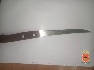 Житель Бежецка пырнул ножом приятеля, который не хотел уходить из гостей
