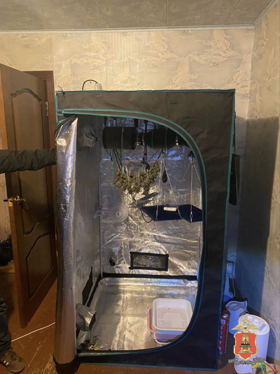 Во Ржеве сотрудники Отдела по контролю за оборотом наркотиков ликвидировали ферму по выращиванию конопли Во Ржеве сотрудники Отдела по контролю за оборотом наркотиков ликвидировали ферму по выращиванию конопли