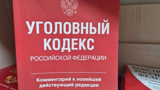 В Тверской области пенсионерка выстрелила в ребёнка из пневматики