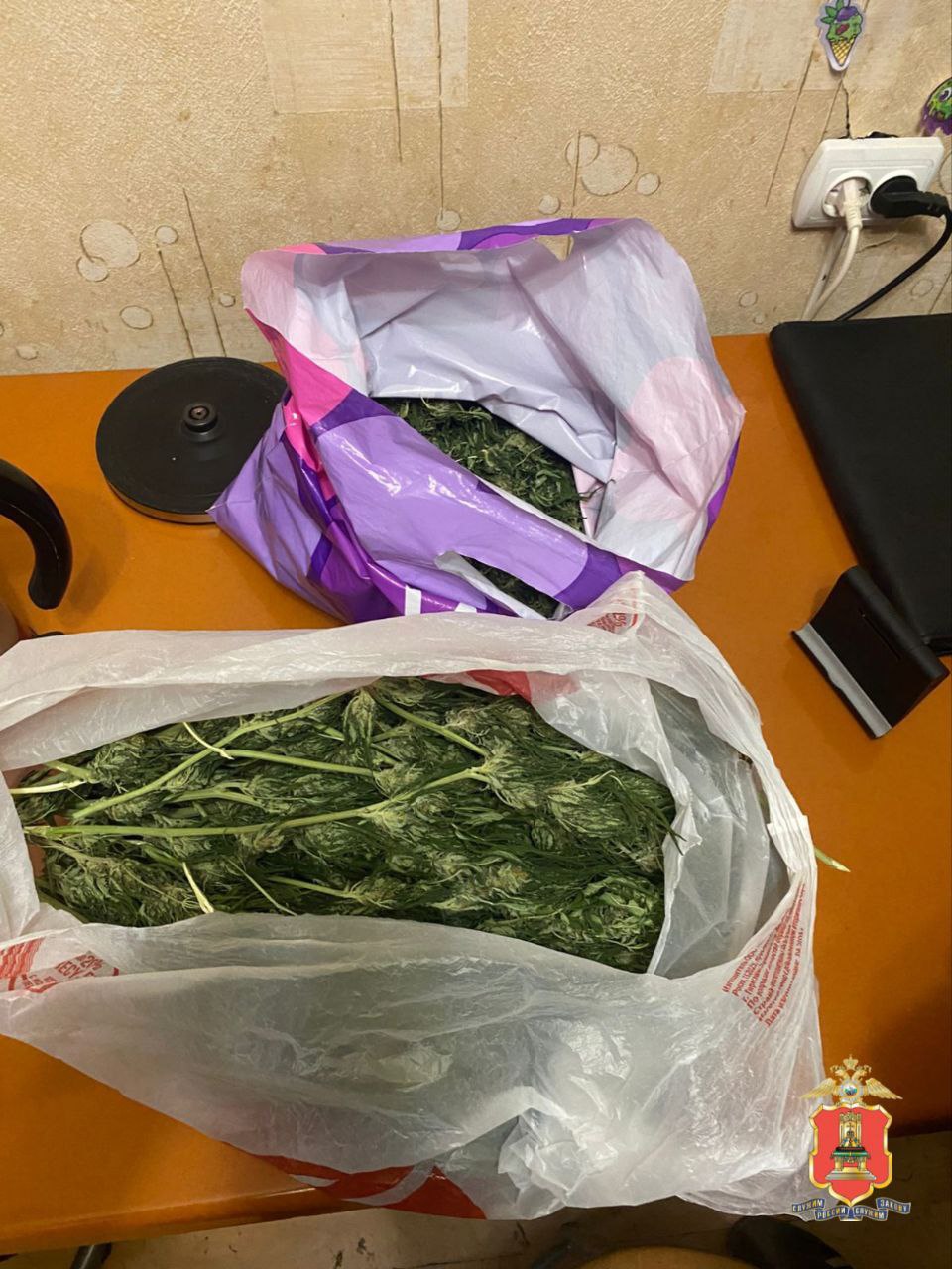 В Ржеве обнаружили ферму, где выращивали растительные наркотики В Ржеве обнаружили ферму, где выращивали растительные наркотики