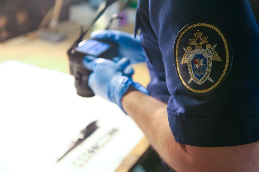 Жительницу Кимр осудили на восемь лет за убийство в Рождество