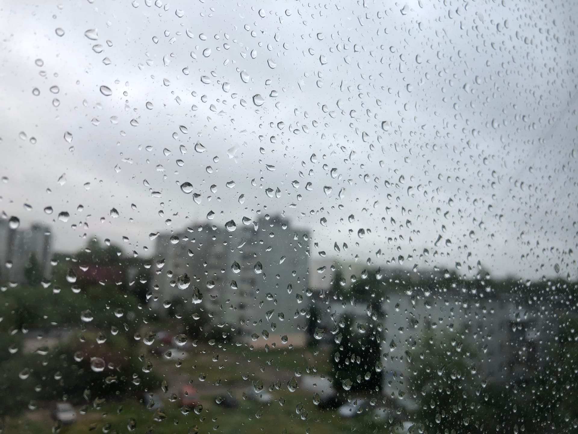 В Тверской области 31 октября ожидается сильный дождь