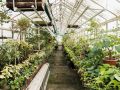 Зеленая почва в теплице: что это значит и как с этим справиться?