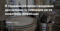 В Ульяновске приостановлена деятельность гимназии из-за кишечной инфекции