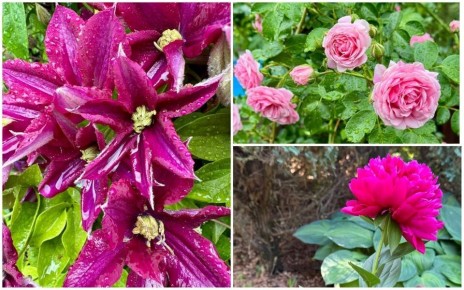 Как простые утренние ритуалы приносят радость каждый день