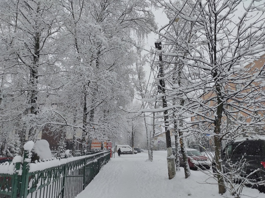 Стало известно, когда метеорологическая зима придет в Тверскую область Стало известно, когда метеорологическая зима придет в Тверскую область