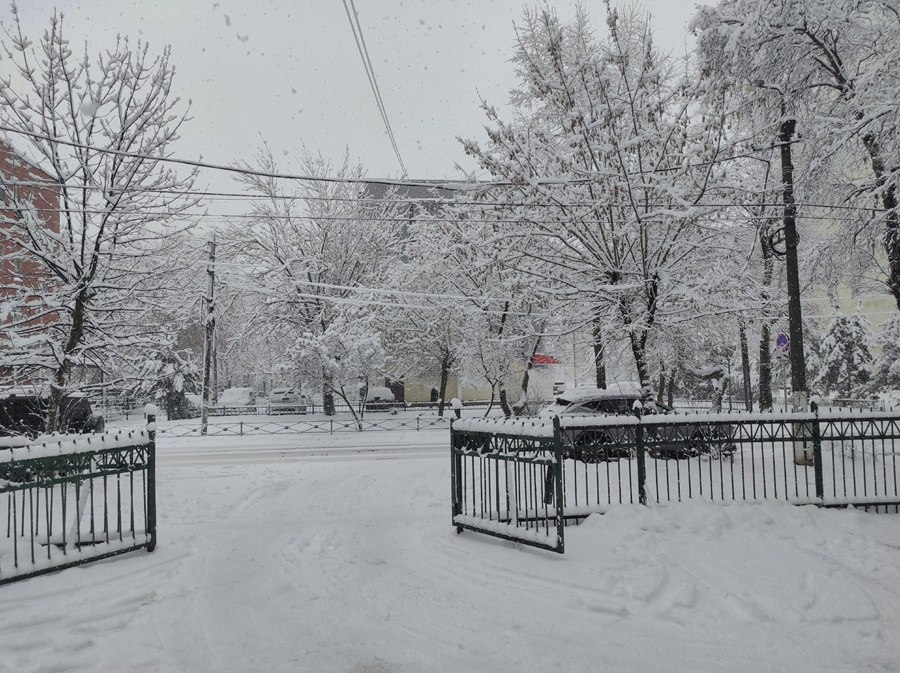 Стало известно, когда метеорологическая зима придет в Тверскую область