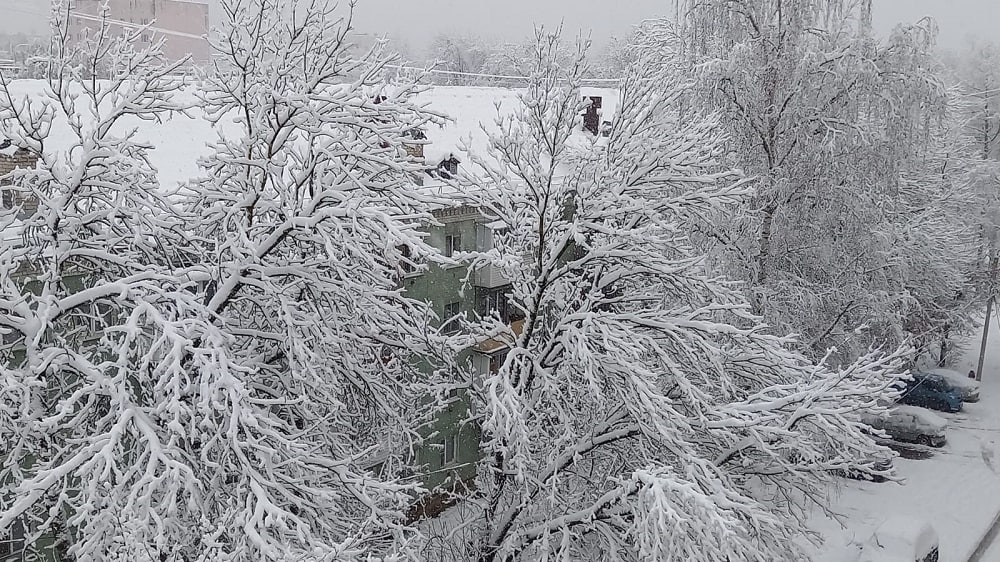 Стало известно, когда метеорологическая зима придет в Тверскую область Стало известно, когда метеорологическая зима придет в Тверскую область