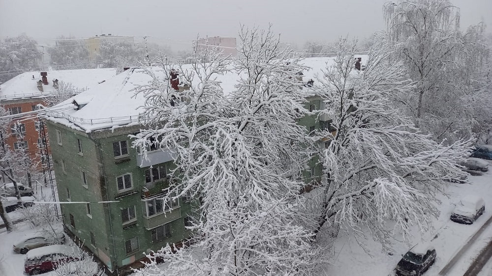 Стало известно, когда метеорологическая зима придет в Тверскую область Стало известно, когда метеорологическая зима придет в Тверскую область