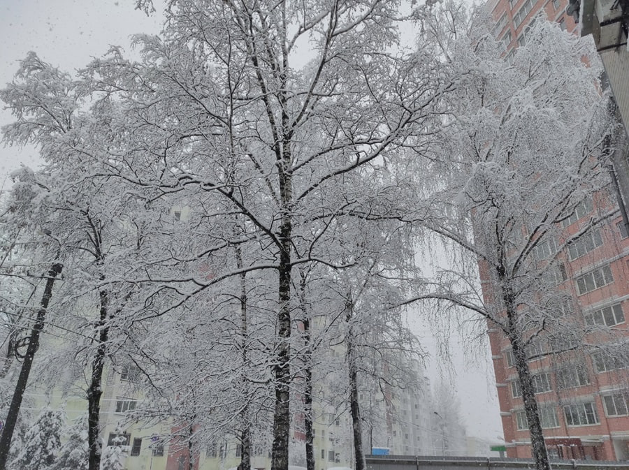 Стало известно, когда метеорологическая зима придет в Тверскую область Стало известно, когда метеорологическая зима придет в Тверскую область