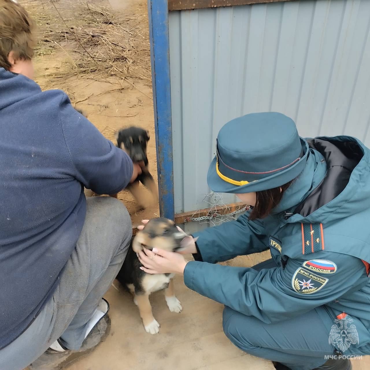 В Тверской области сотрудники МЧС подарили корм и заботу животным передержки «Новая жизнь» В Тверской области сотрудники МЧС подарили корм и заботу животным передержки «Новая жизнь»