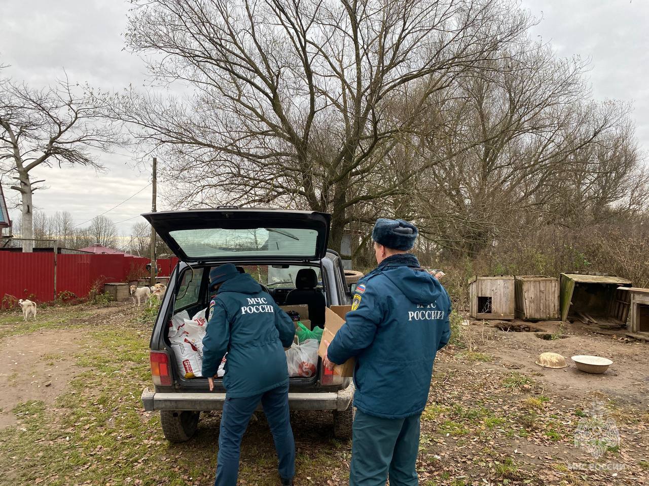 В Тверской области сотрудники МЧС подарили корм и заботу животным передержки «Новая жизнь» В Тверской области сотрудники МЧС подарили корм и заботу животным передержки «Новая жизнь»