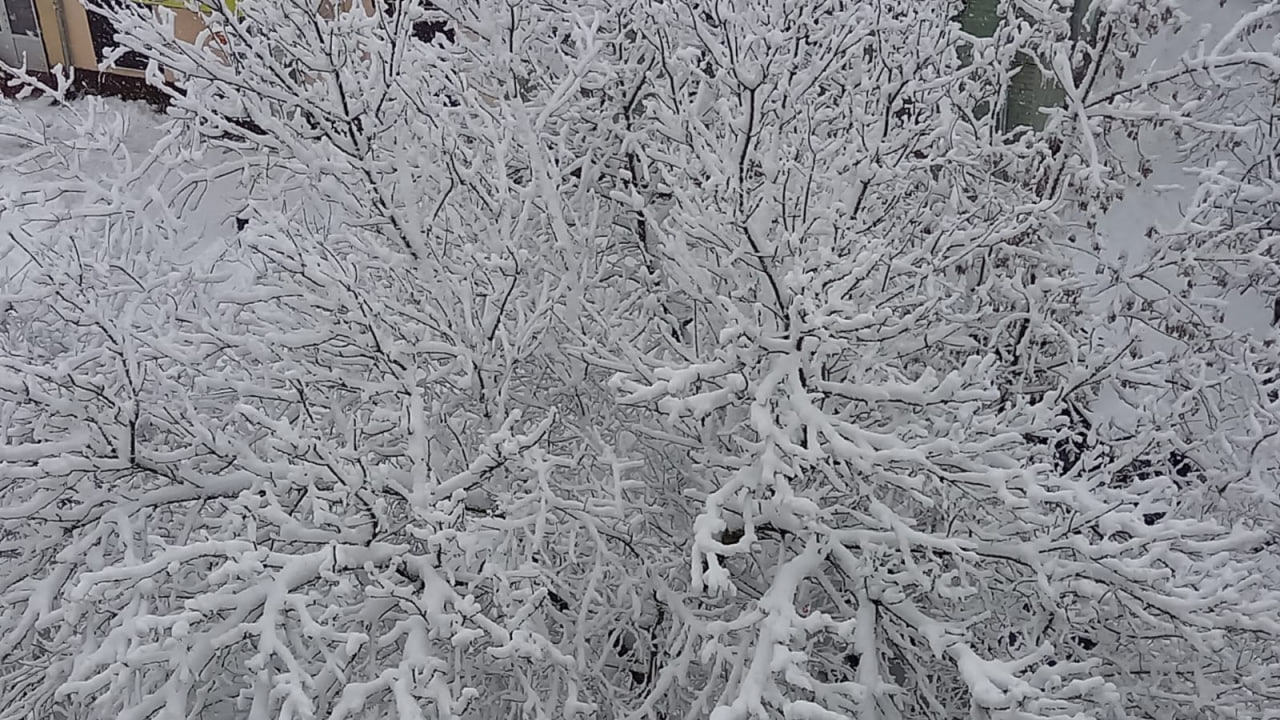 Стало известно, когда метеорологическая зима придет в Тверскую область Стало известно, когда метеорологическая зима придет в Тверскую область
