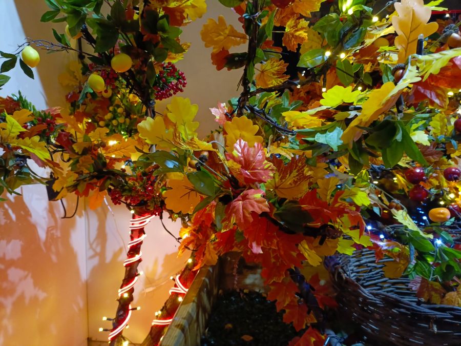 В Твери нашли самую атмосферную уличную инсталляцию В Твери нашли самую атмосферную уличную инсталляцию