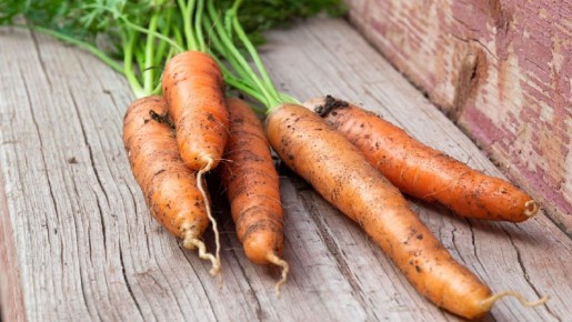 Забудьте про трещины в моркови: секрет опытных дачников
