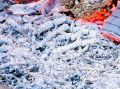 Чудеса золы: как превратить обычные остатки в мощное удобрение для садоводов