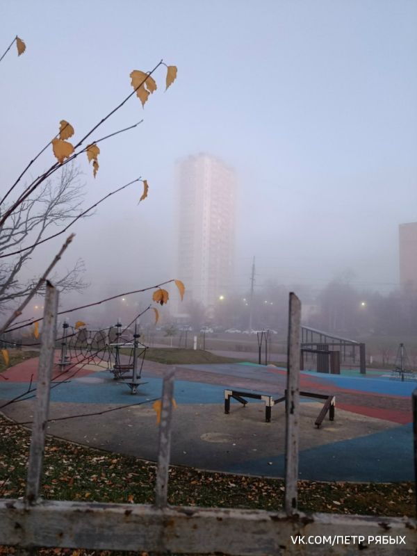 Густой туман в среду утром накрыл Москву