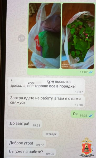 В Тверской области пенсионерка передала «в казначейство» деньги в цветочном горшке