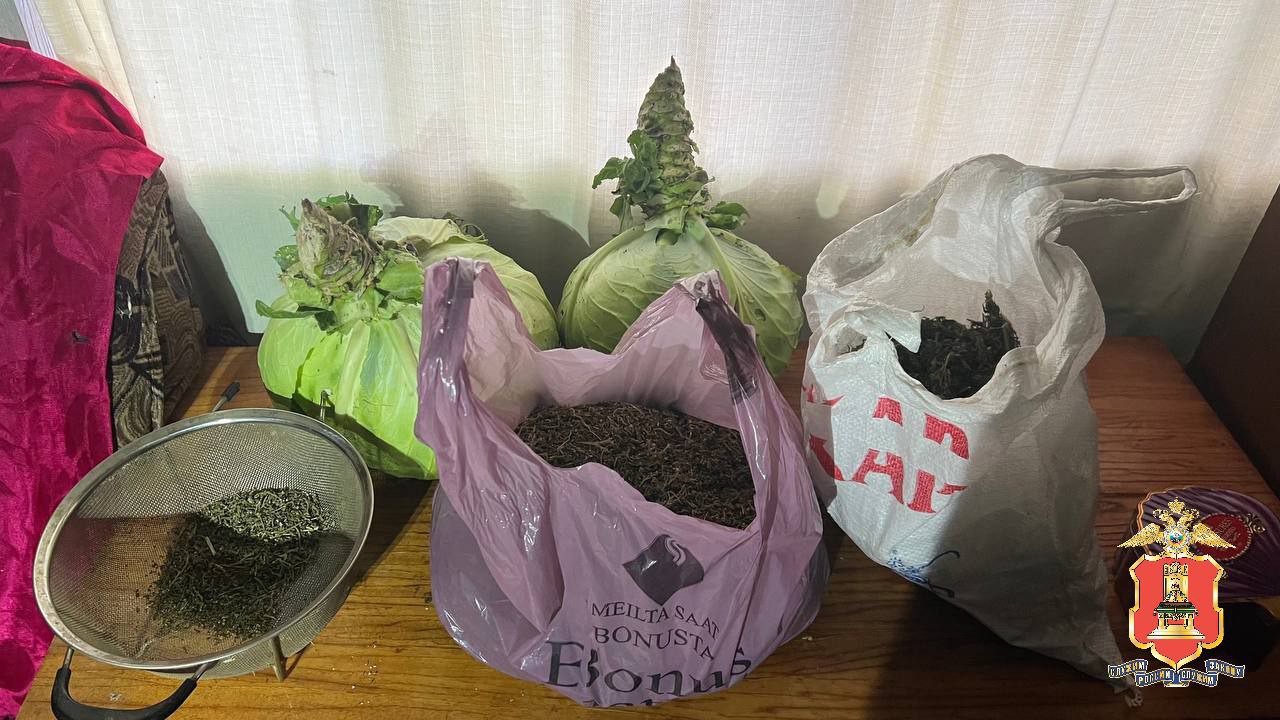 Операцией Управления МВД России по Тверской области выявлены факты хранения наркотических веществ растительного происхождения в одном из сельских хозяйств района