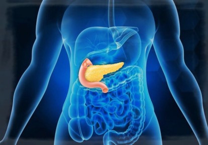 Поджелудочная усталость: как вернуть здоровье своей железе