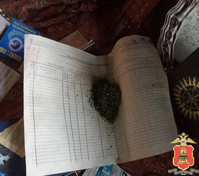 У жителя Нелидовского муниципального округа полицейские нашли банки с марихуаной и корни конопли