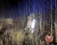 В Кувшиновском округе перевернулась легковушка, водитель погиб
