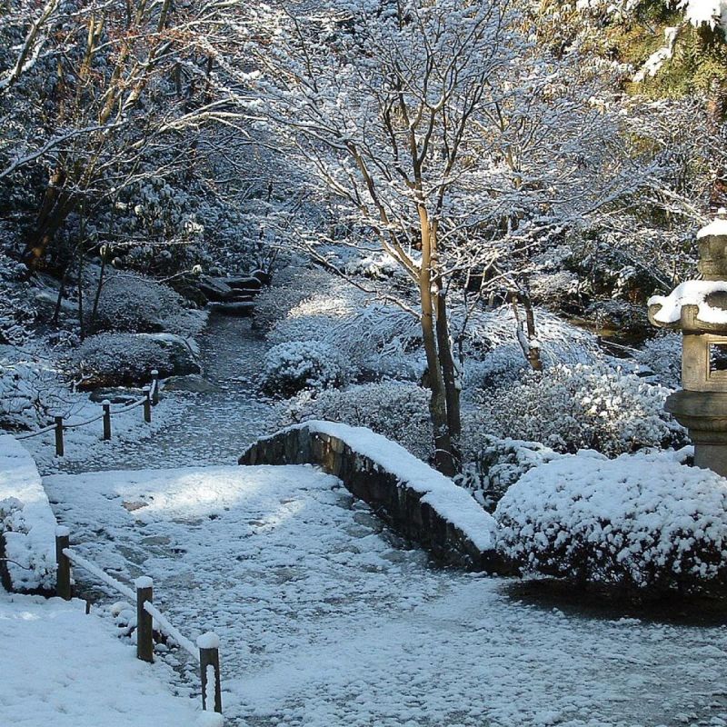 Зимняя забота о земле: как снег может увеличить урожайность весной