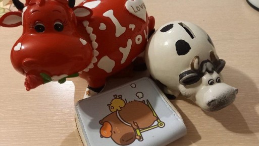 Карманные деньги: тверской психолог о формировании здорового отношения ребенка к деньгам