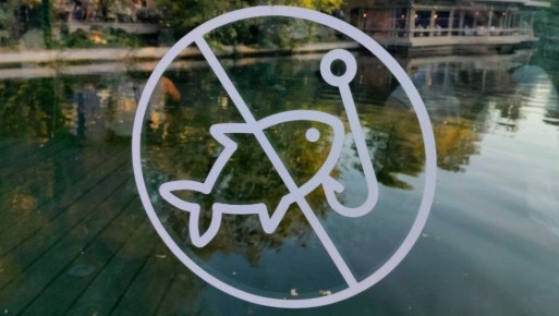 Троих жителей Нелидовского округа осудят за незаконную ловлю рыбы