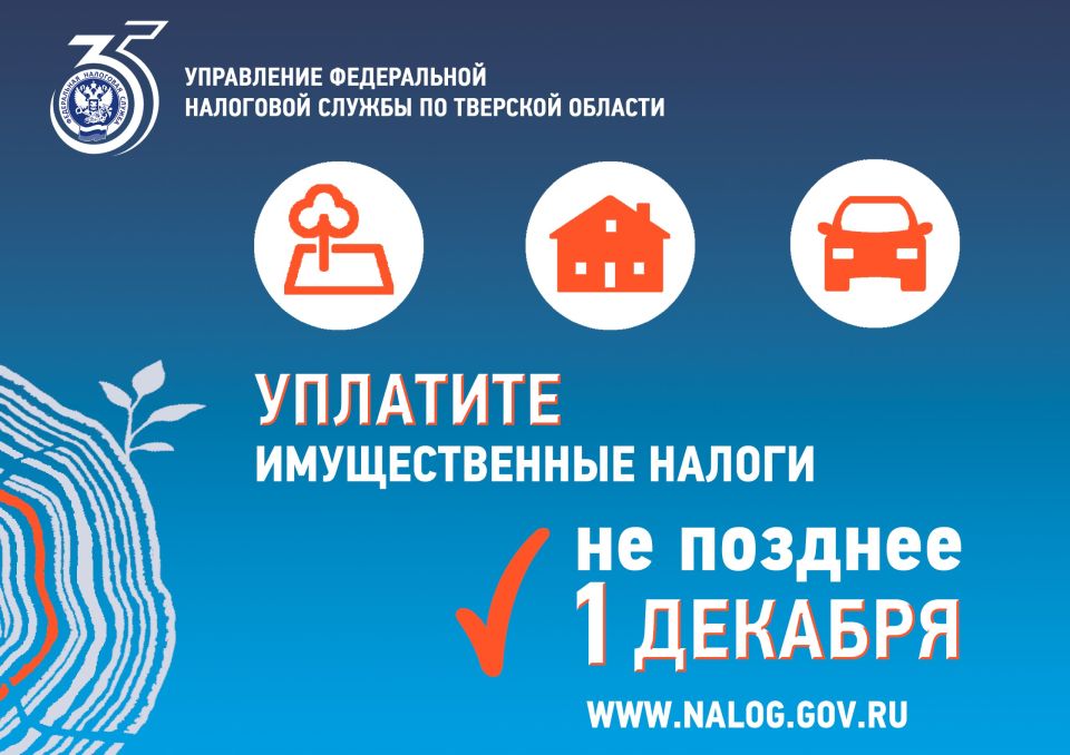       1      2024 ,      ,    