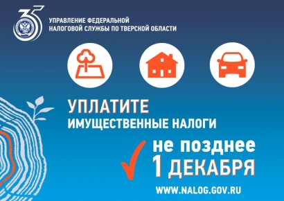       1      2024 ,      ,    